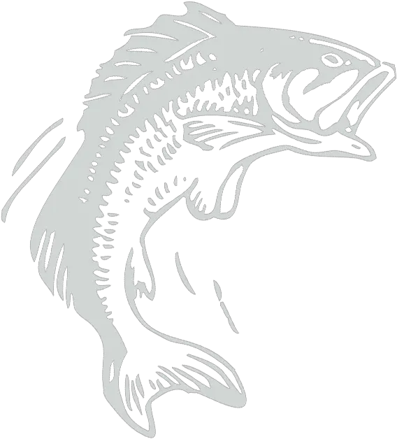 Green Bay Wi Fishing Guide All About That Bass Fishing Png Bass Fish Logo