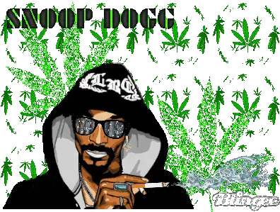 Snoop Dogg U0026 Dr Dre Album On Imgur Language Png Snoop Dogg Transparent Background