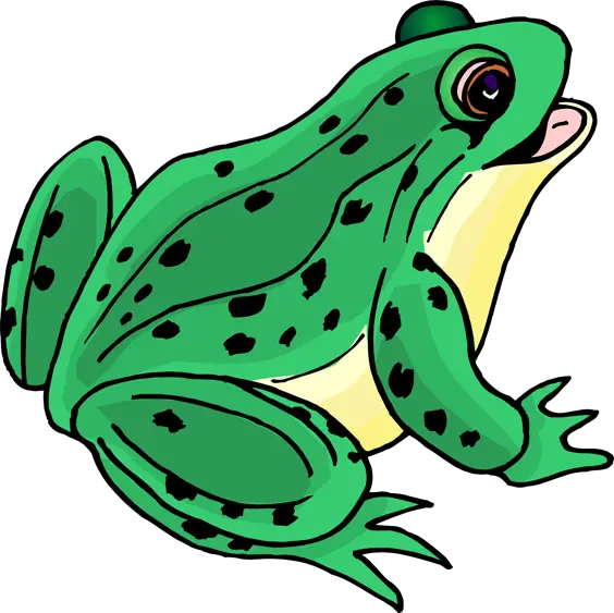 Frog Png And Vectors For Free Download Dlpngcom Clip Art Picture Of Frog Pepe The Frog Transparent