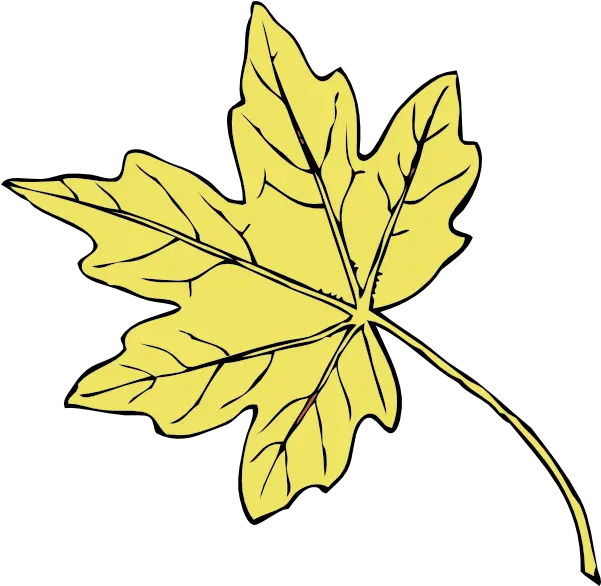 Gold Maple Leaf Transparent Cartoon Jingfm Autumn Leaf Png Black And White Maple Leaf Transparent