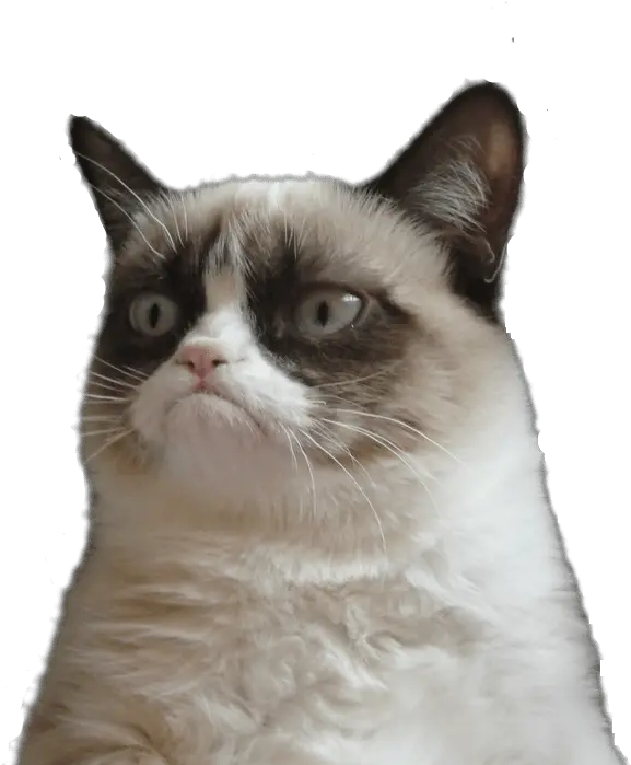 Grumpy Cat Png Hd Pictures Vhvrs Grumpy Cat Transparent Background Cats Png