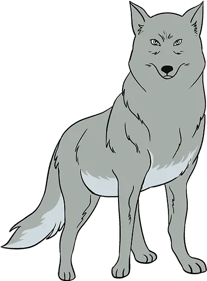 Gray Wolf Easy Drawing Face How To Draw A Wolf Png Wolf Face Png