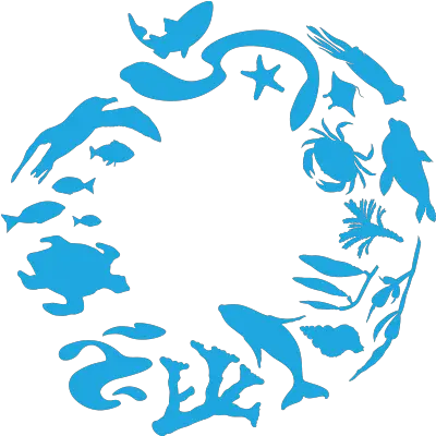 Download Hd 28 Collection Of Things In The Ocean Clipart Ocean Conservancy Logo Png Ocean Clipart Png