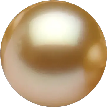 Download White Pearl Png Gold Pearl Transparent Background Pearl Transparent Background