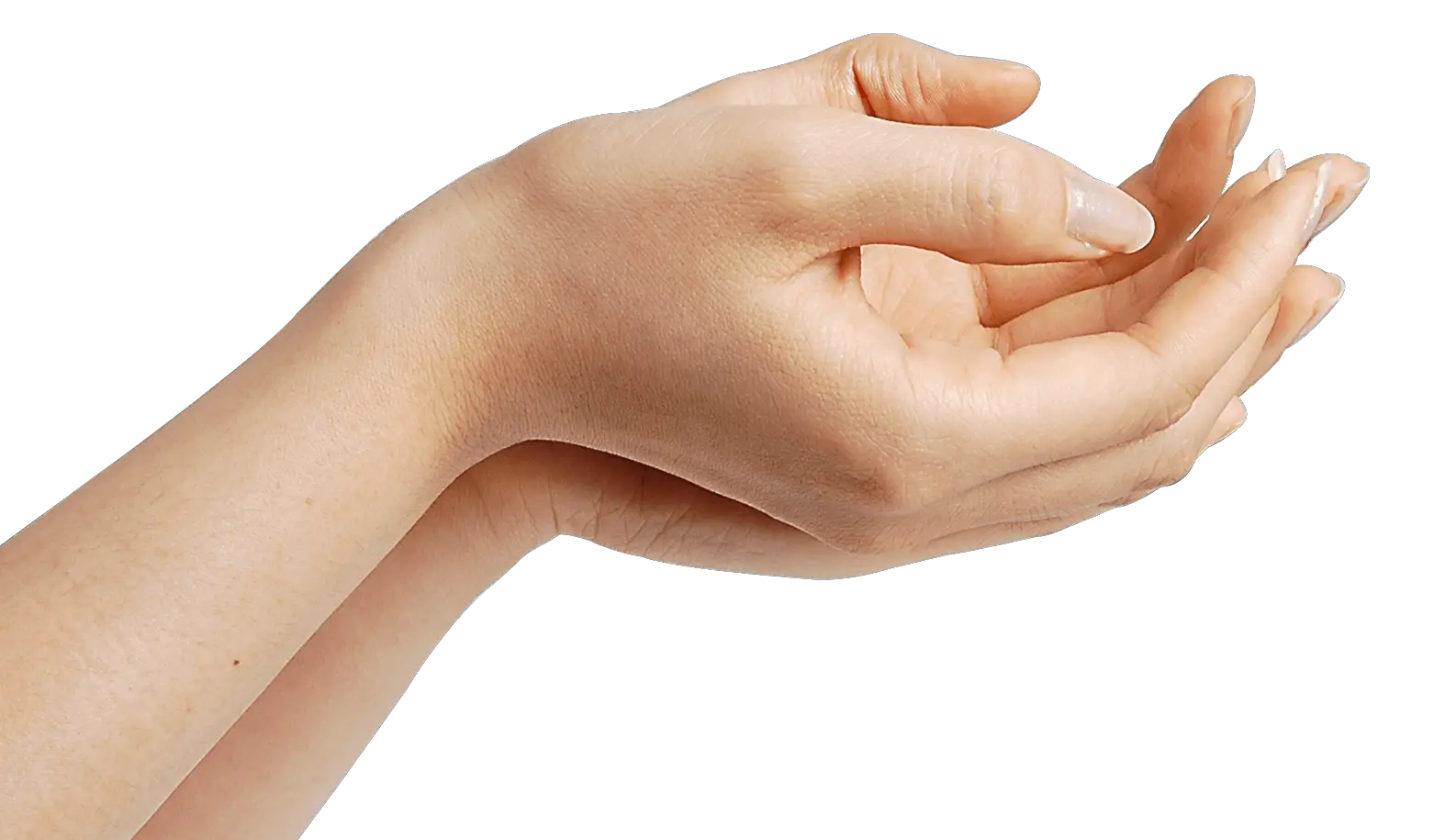 Back Hand Png