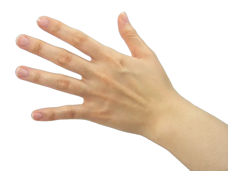 Anime Hands Png