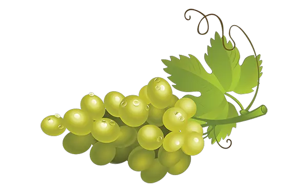 Download Green Grapes Png High Quality Image Seedless Seedless Fruit Grapes Png