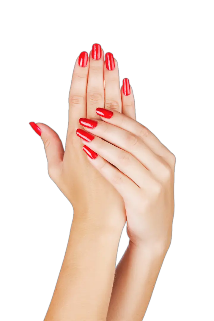 Woman Hand Png