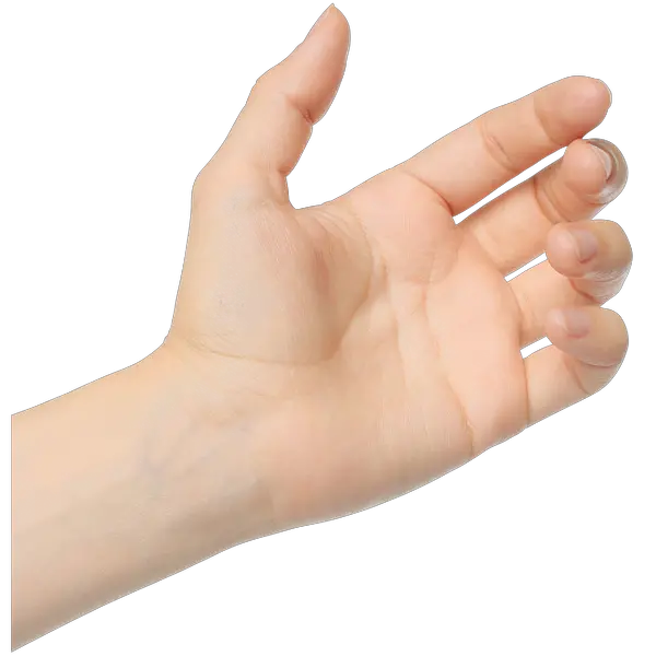Two Hands Png