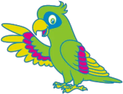 Parrot Png And Vectors For Free Download Dlpngcom Budgie Parrot Png