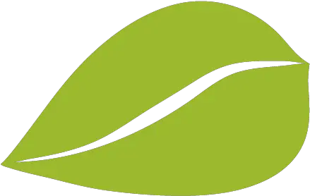 3 Leaf Bullet Point Lighter Green Leaf Bullet Point Png Bullet Point Png
