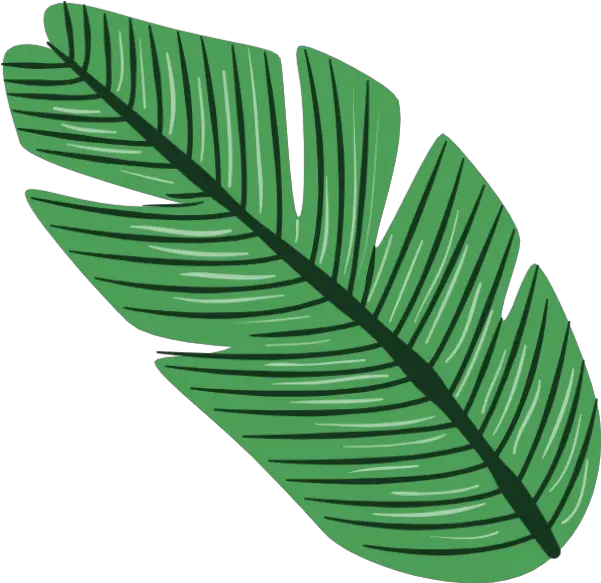 Tropical Plants Green Leaves Vector Tropical Leaf Png Tropical Leaf Png