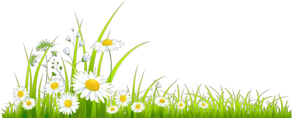 Spring Grass With Camomile Png Clipart Blumen Transparent Spring Clipart Grass Clipart Png
