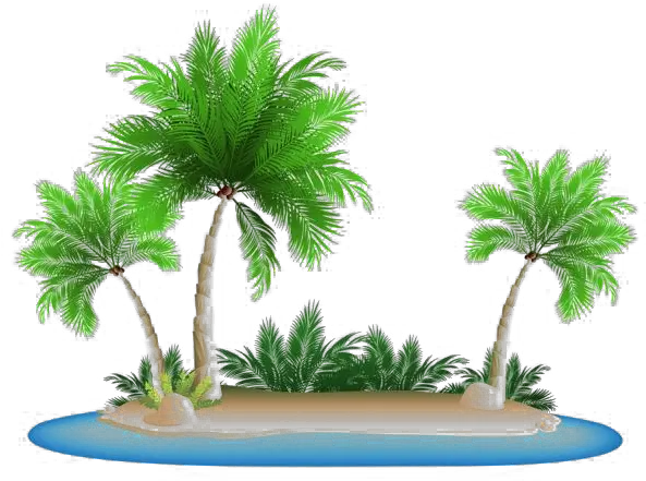 Vacation Beach Png Image Background Beach Palm Trees Png Beach Background Png