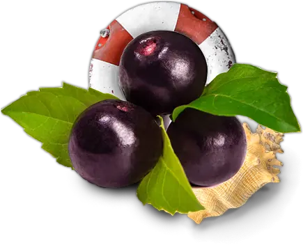 Download Açai Nole Bowls Acai Berries Full Size Png Acai Berry Berries Png