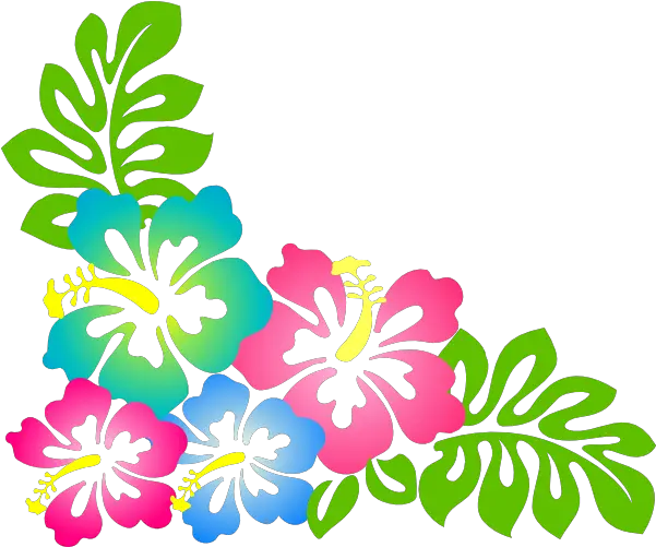 Hawaiian Flower Border Clipart Hawaii Flower Png Hawaiian Flowers Png