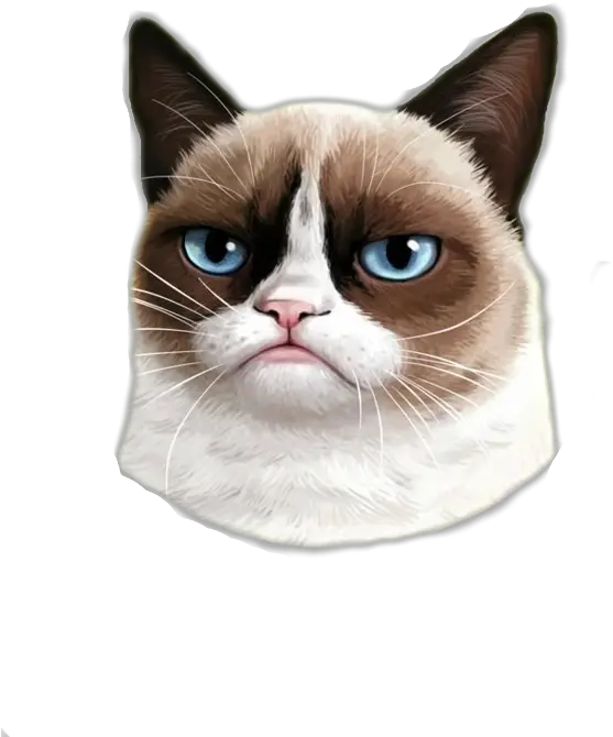 Grumpy Cat Png Grumpy Cat Png Grumpy Cat Png