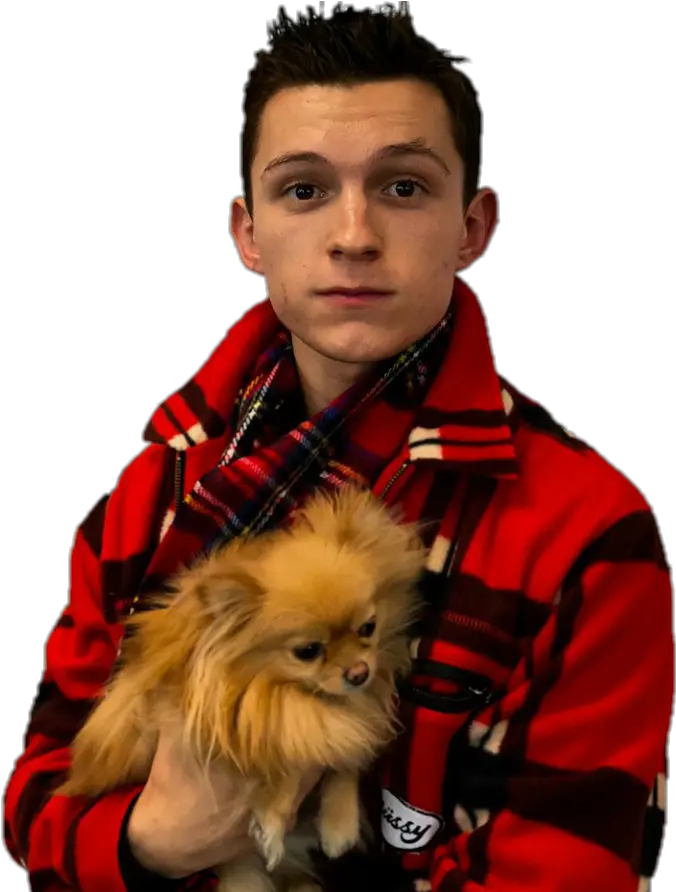 Tom Holland And Dog Png Download Tom Holland Cute Pic With Dog Tom Holland Png