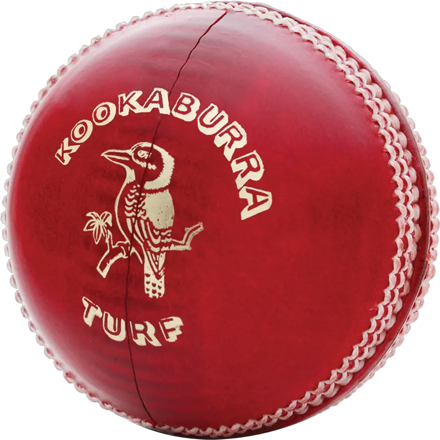 Cricket Ball Official Kookaburra Balls Information Kookaburra Cricket Ball Price Png Ball Transparent