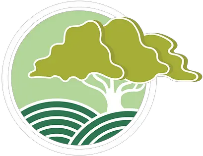 Isa Certified Arborist Teri Graham Florida Tree Inspector Vertical Png Isa Icon