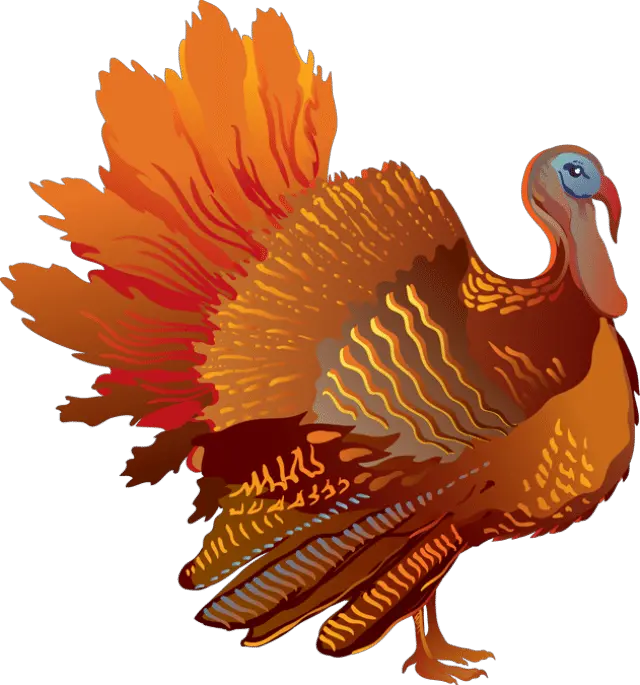 Turkey Clipart Png Turkey Clipart Turkey Clipart Transparent Background