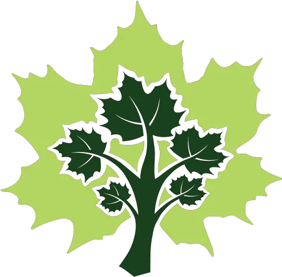 Meet Maple Maplelogorgbicononly 600 X 600 Microsoft Maple Png Tree Leaf Icon