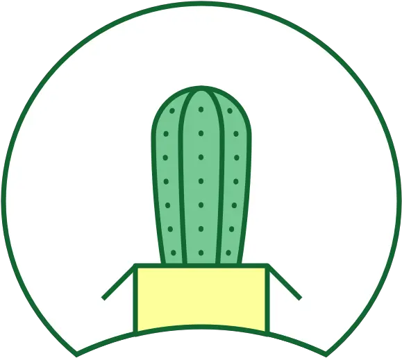 The Cactus Outlet Healthy Cacti Succulent Plants From Our Dot Png Cactus Icon