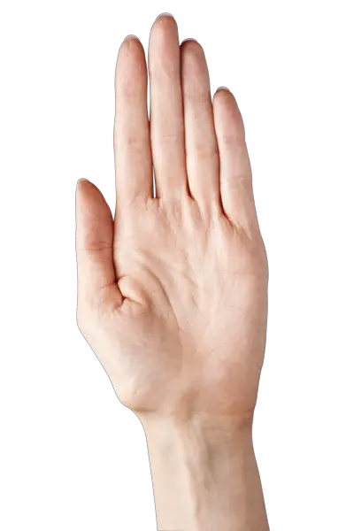Hold Hand Png