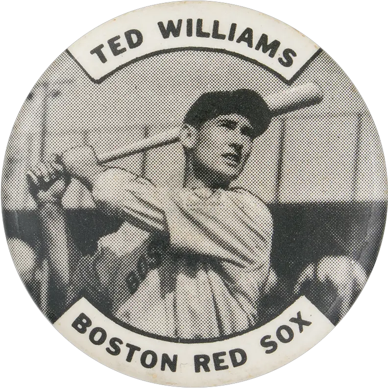 Ted Williams Boston Red Sox Busy Beaver Button Museum Vintage Base Ball Png Boston Red Sox Png