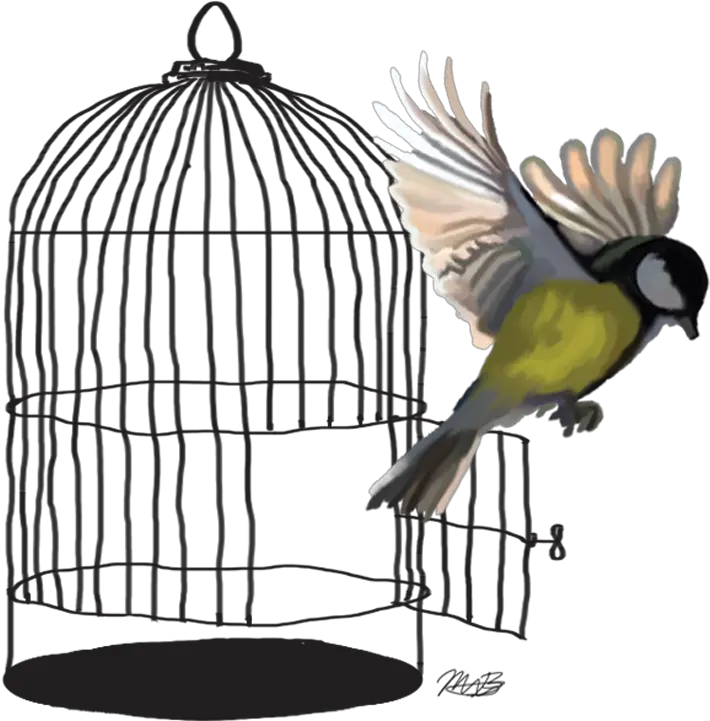 Caged Bird Transparent Background Bird Flying Out Of Cage Drawing Png Cage Transparent Background