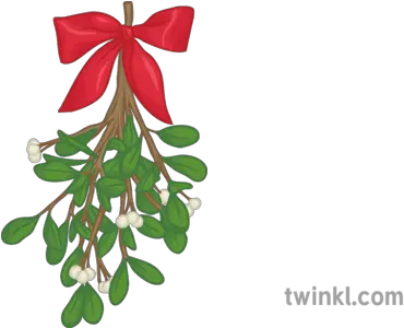 Mistletoe 2 Illustration Twinkl For Holiday Png Mistletoe Png