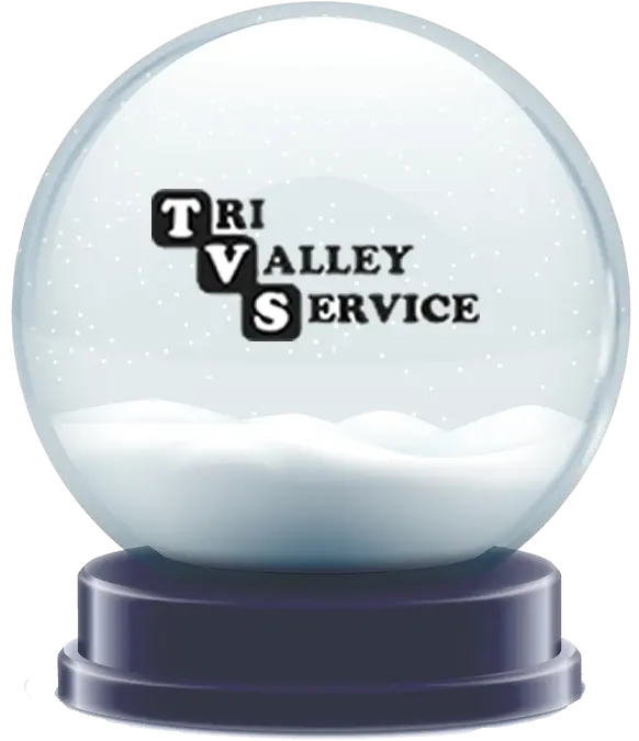 Download Sm Tvs Snowglobe Full Size Png Image Pngkit Alligator Coloring Pages Snow Globe Png