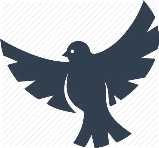 Dove Icon Png 13985 Free Icons Library Dove Icon Doves Flying Png