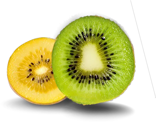 Kiwifruit Post Harvest Capability Apata Group Limited Green And Gold Kiwi Png Kiwi Transparent