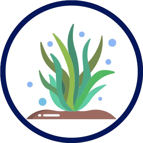 Best Aquarium Moss Professional Aquariumfish Tank Advice Png Icon