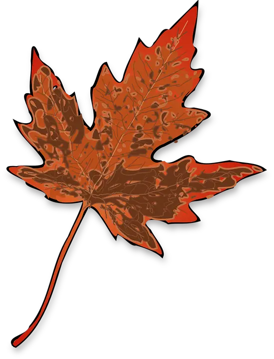 Brown Fall Leaf Clip Art Vector Clip Art Içimizin De Balkonu Olsayd Arada Çkp Nefes Alsaydk Png Autumn Leaf Icon