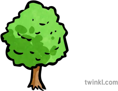 Tree Map Icon 1 Illustration Twinkl Icon Baum Png Map Icon Png