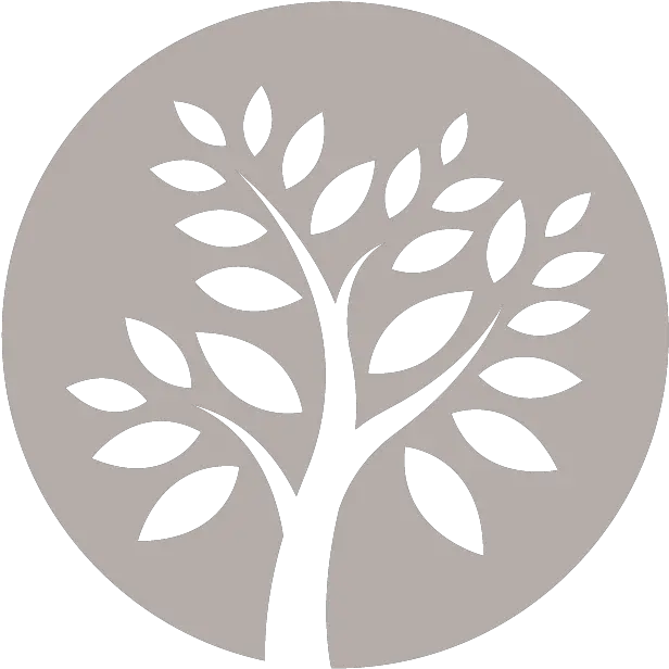 Certified Local Arborists Minneapolis And St Paul Tree Icon White Tree Png Saint Paul Icon