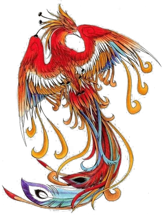 Download Wind Chinese Simurgh Phoenix Png Free Photo Clipart Death Before Dishonor Tattoo Designs Phoenix Png