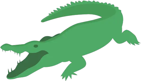 Transparent Alligator Happy Cartoon U0026 Png Cocodrilo Dibujo Png Alligator Png