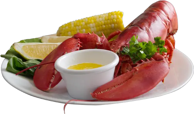 Buy Live Maine Lobster U0026 Fresh Seafood Online Cape Lobster On Plate Png Lobster Png
