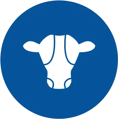 Committed To Low Carbon Dairying Nzmpcom Cow Png Cow Head Icon
