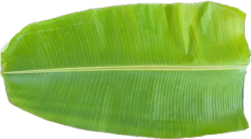 Banana Leaves Transparent Png Clipart Thala Valai Ilai Banana Leaf Png