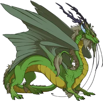 The Jackie Chan Adventures Project Draw A Dragon Png Jackie Chan Png