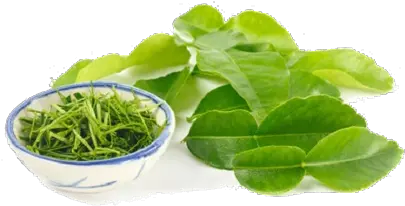 Kaffir Lime Leaves Png Image Arts Water Spinach Tea Leaves Png