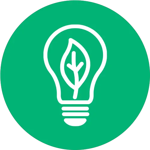 Good Energy Collective Compact Fluorescent Lamp Png Energy Level Icon