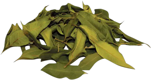 Lemon Myrtle Loose Tea Leaves Lemon Myrtle Png Tea Leaves Png