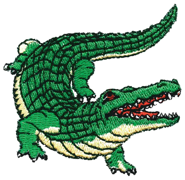 Download Hd Caiman Clipart Gator Crocodilehead Png Alligator Drawing With Color Gator Png