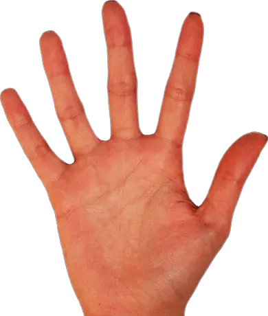 Open Hand Png