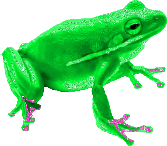 Frog Sticker Gif Gfycat Transparent Frog Animated Gif Png Pepe The Frog Transparent